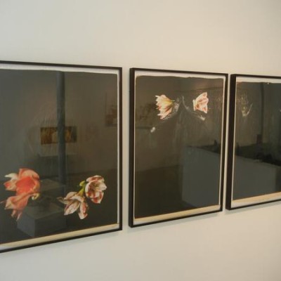 Maria Magdalena Campos-Pons @Stephan Stoyanov