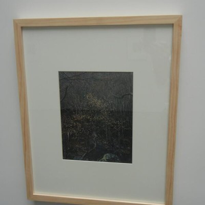 Eliot Porter @Paula Cooper