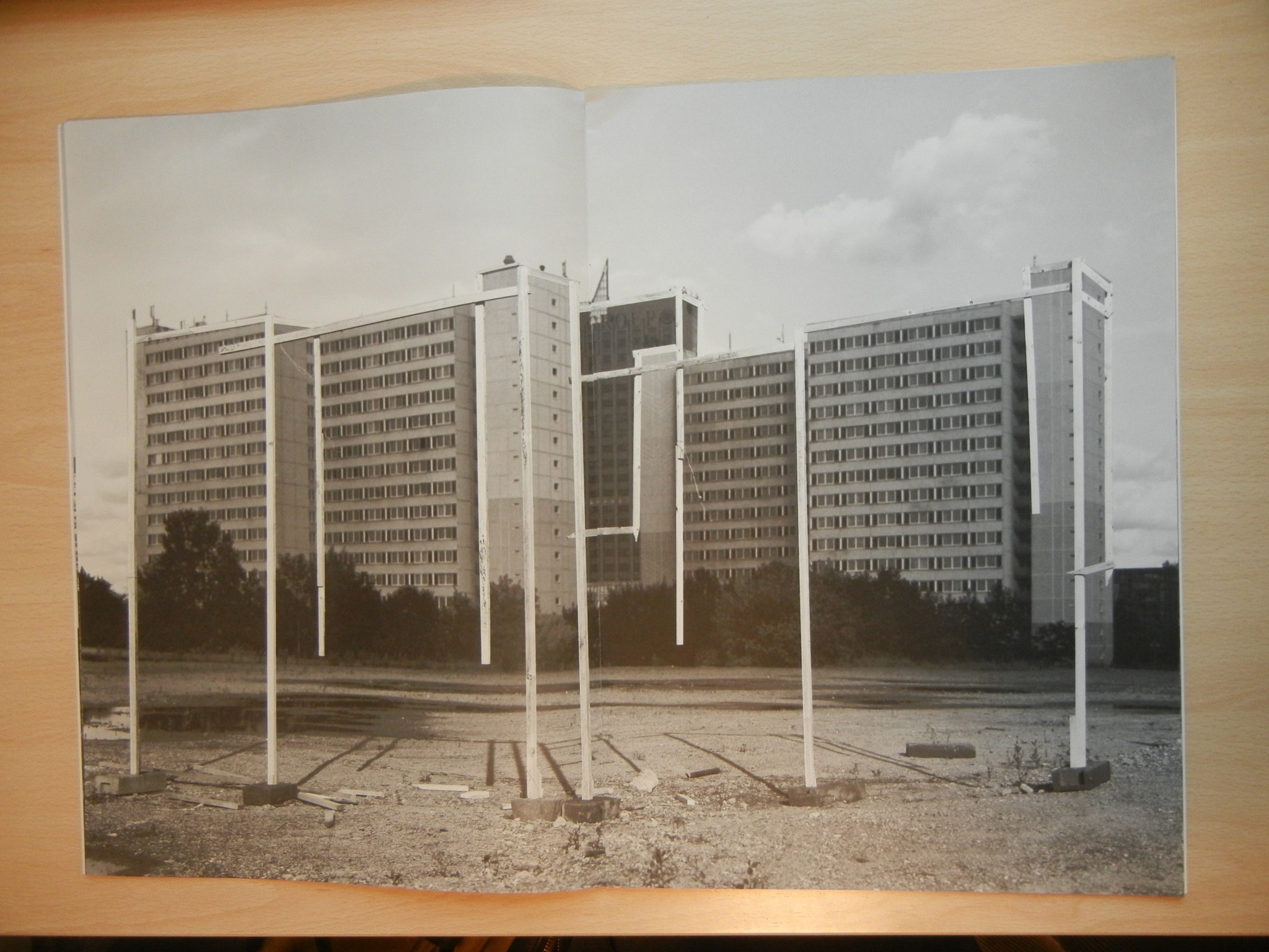 Taiyo Onorato and Nico Krebs, Raise the Bar | Collector Daily