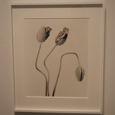 Daybook: Robert Voit @ClampArt