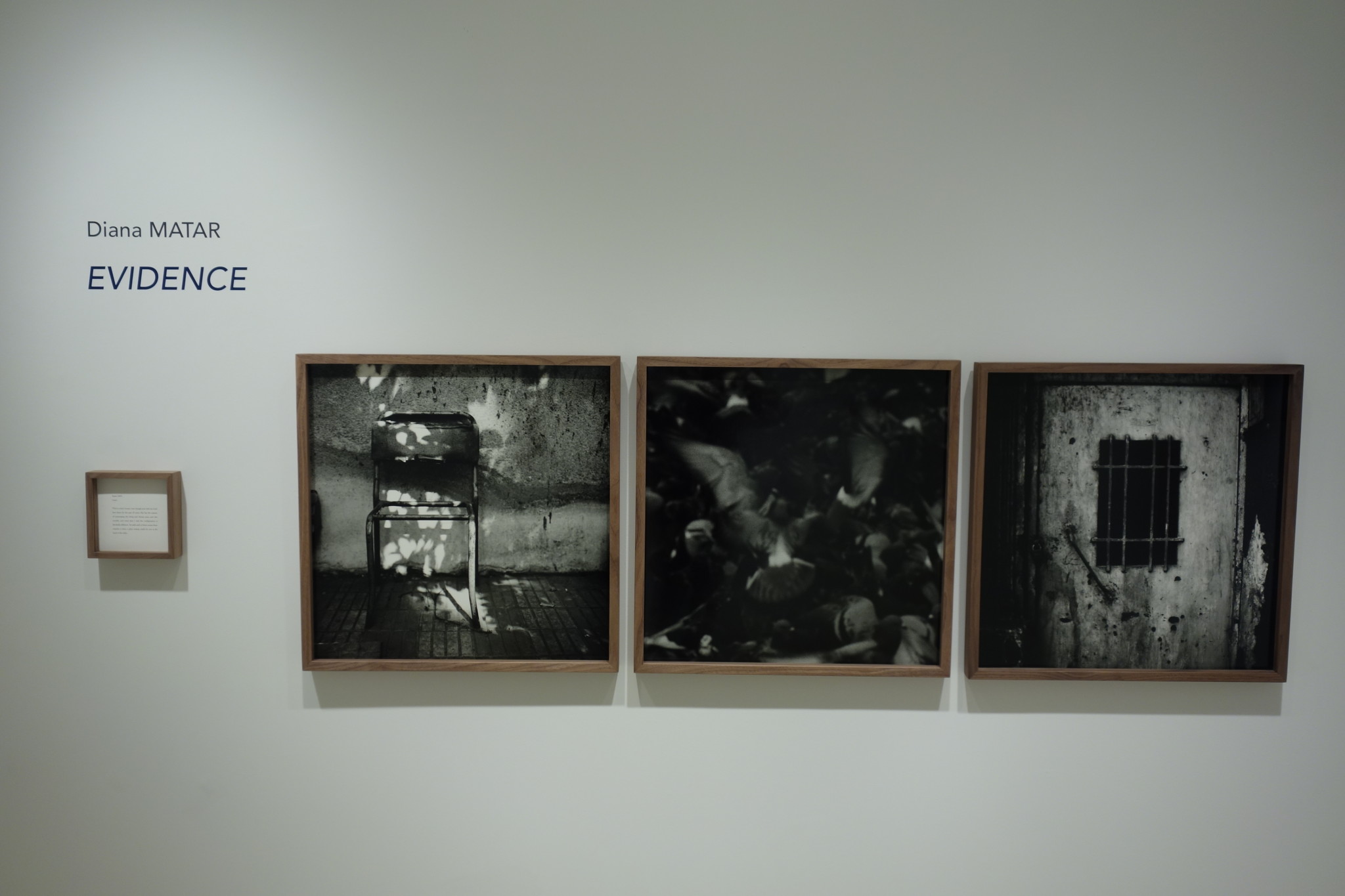 Evidence　Diana Martar　ダイアナ・マーター Diana Matar, Evidence @Rick Wester | Collector Daily