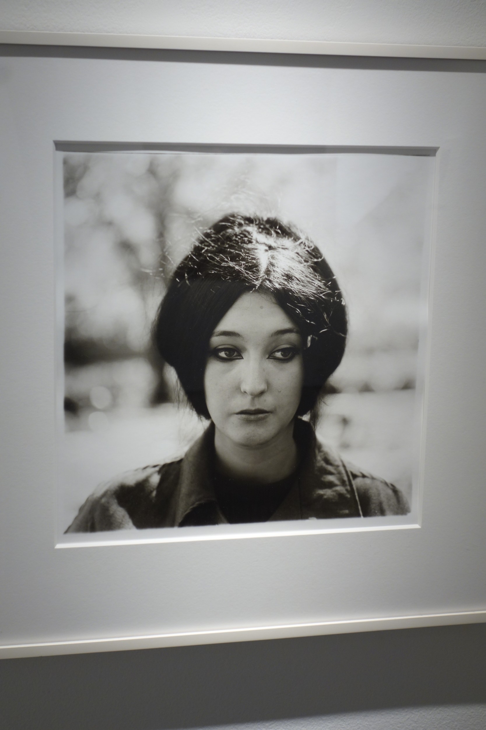 Diane Arbus ClampArt Collector Daily