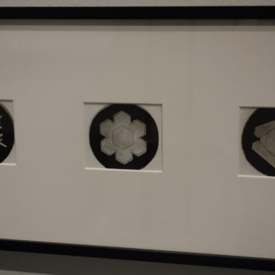 Wilson Bentley @New Museum