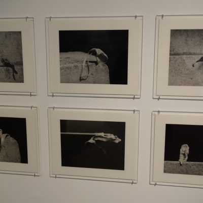 Alina Szapocznikow @Paris Photo