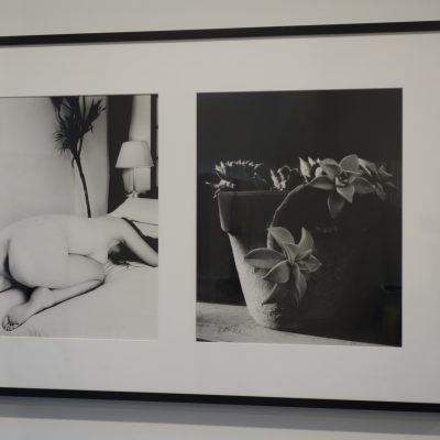 Nobuyoshi Araki @Anton Kern