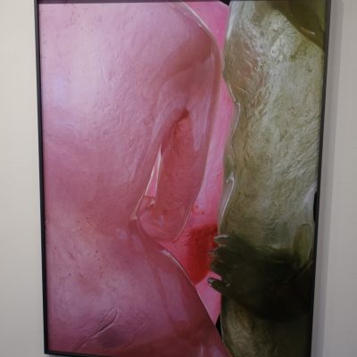 Louisa Clement @On Stellar Rays