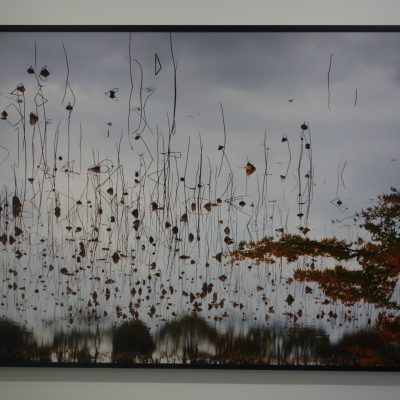 Ori Gersht @CRG