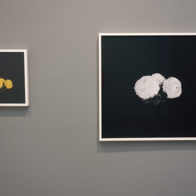 Leslie Hewitt @Sikkema Jenkins