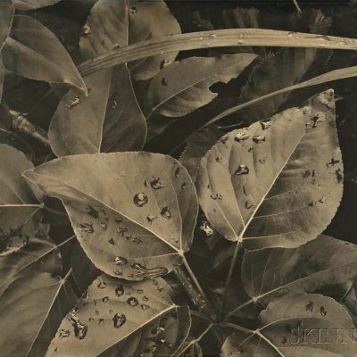 Ansel Adams @Skinner