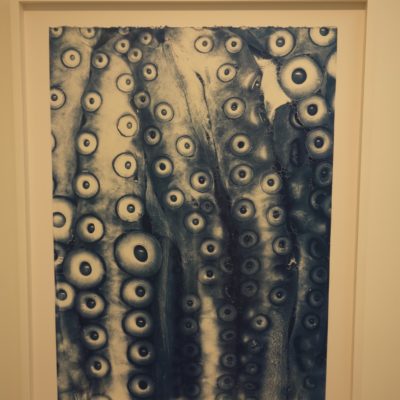 Brian Buckley @ClampArt