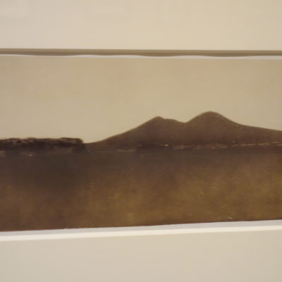 Giacomo Caneva @Met