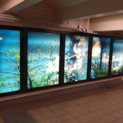 Leah Oates @Bryant Park Subway Station