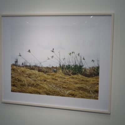 Alessandra Sanguinetti @Aperture
