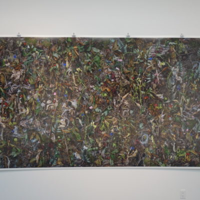 Tanya Marcuse @Julie Saul