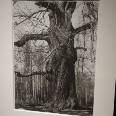 Henri Le Secq @Hans Kraus
