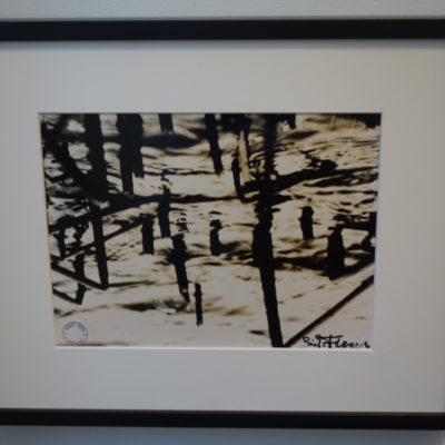 Gerard Petrus Fieret @L. Parker Stephenson