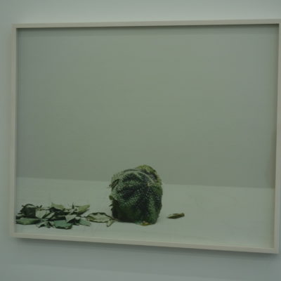 Melanie Schiff @Kate Werble