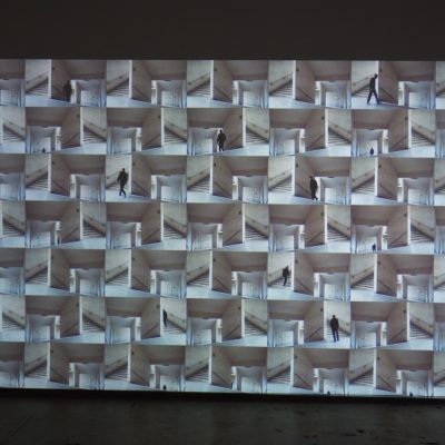 Judith Stenneken @Flowers