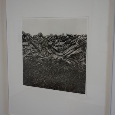 Mariana Cook @Deborah Bell