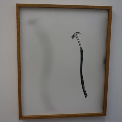 João Maria Gusmão and Pedro Paiva @Andrew Kreps