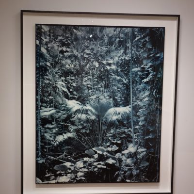 Yojiro Imasaka @Miyako Yoshinaga
