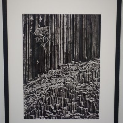 Sebastião Salgado @Sundaram Tagore