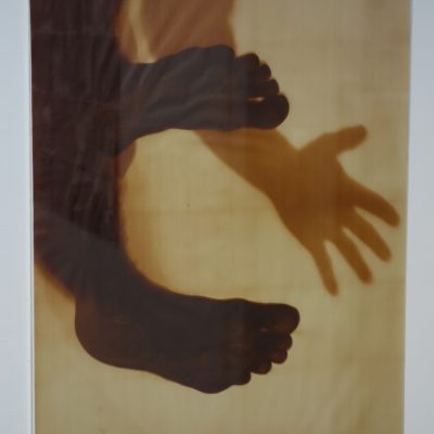 Joan Lyons @Steven Kasher