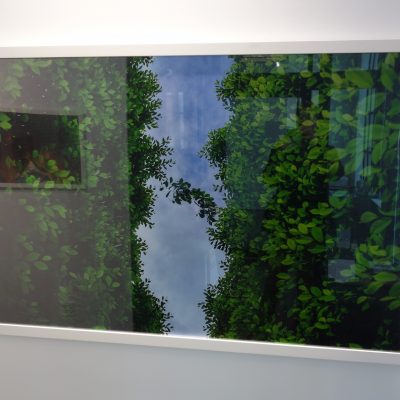Jake Naughton @United Photo Industries