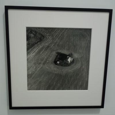 Terry Evans @Yancey Richardson