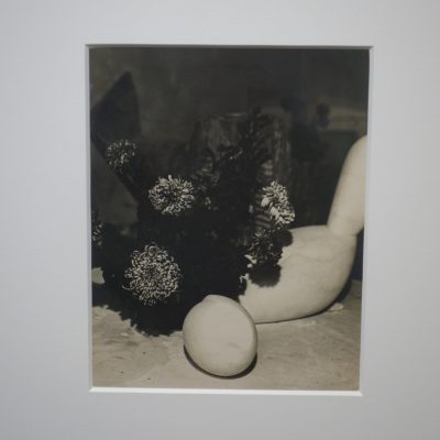 Constantin Brancusi @Bruce Silverstein