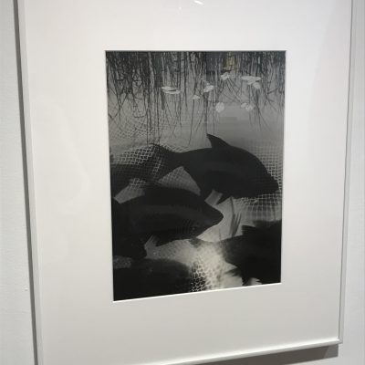 Heinz Hajek-Halke @Robert Mann
