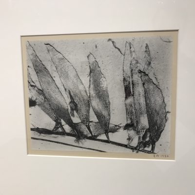 Edward Weston @Bruce Silverstein