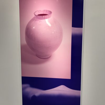 Sara VanDerBeek @Metro Pictures