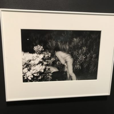 Kohei Yoshiyuki @Hauser & Wirth
