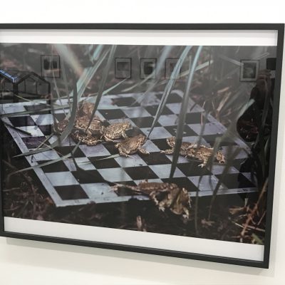 Lothar Baumgarten @Marian Goodman