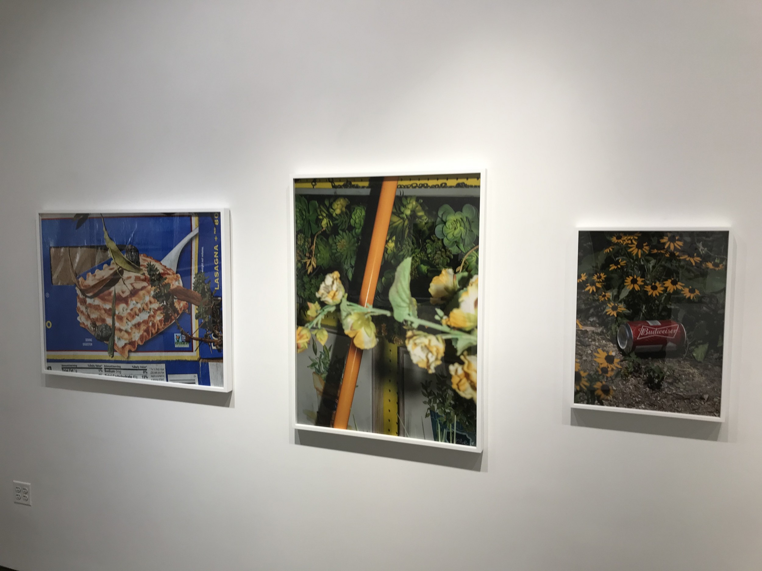 David Brandon Geeting, Neighborhood Stroll @Janet Borden