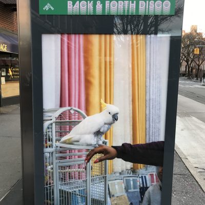 Farah Al Qasimi on an NYC bus shelter