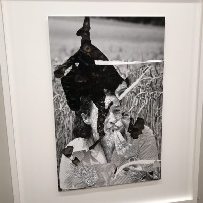 Sebastiaan Bremer @Edwynn Houk