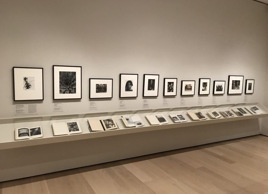 Fall Reveal @MoMA