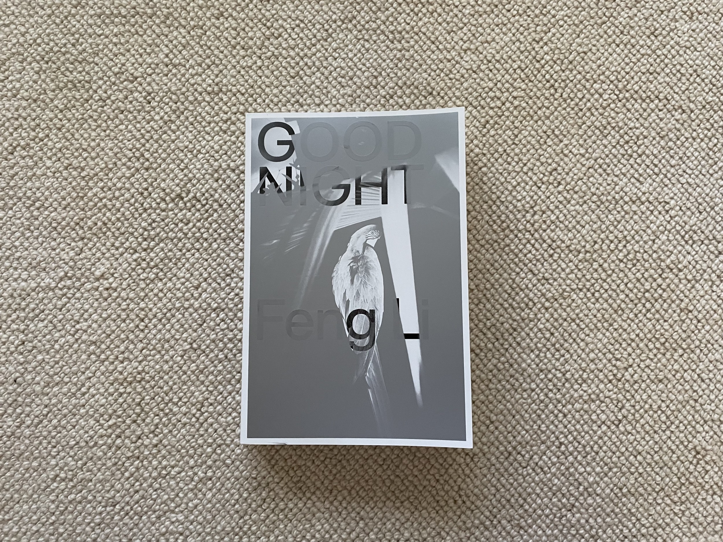 Feng Li, Good Night | Collector Daily