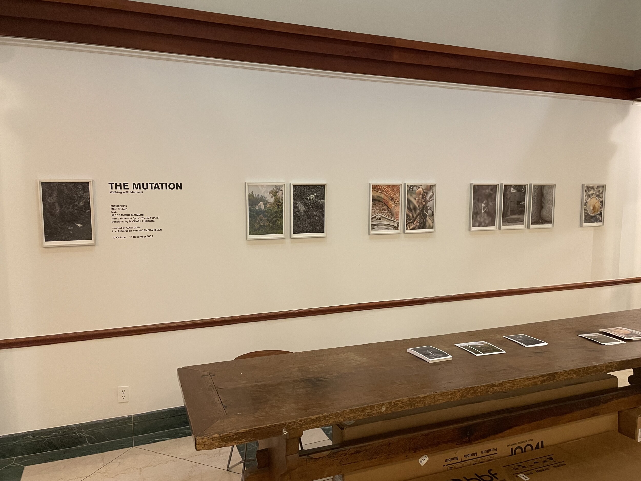 Mike Slack, THE MUTATION: Walking with Manzoni @Casa Italiana