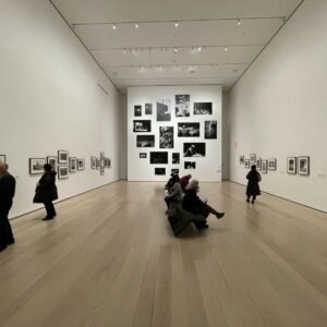 Projects: Ming Smith @MoMA