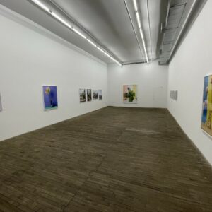 Annette Kelm, Present Past Perfect @Andrew Kreps