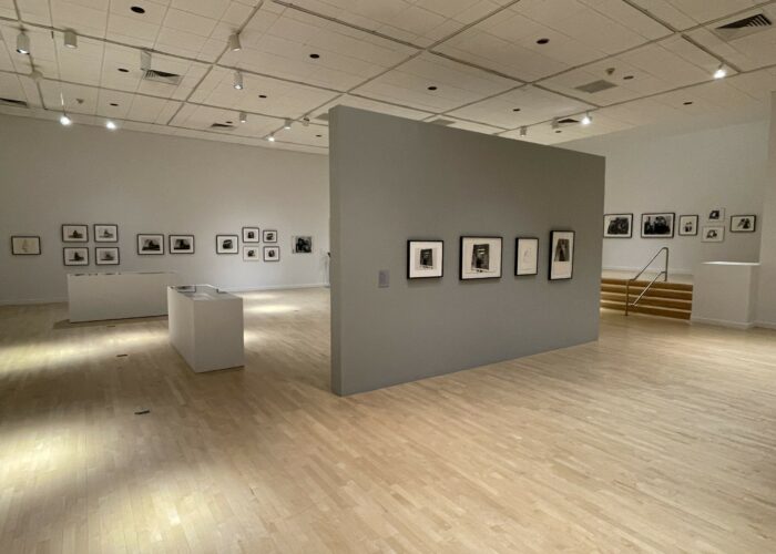 Darrel Ellis: Regeneration @Bronx Museum