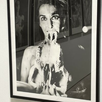 Carolee Schneemann @PPOW