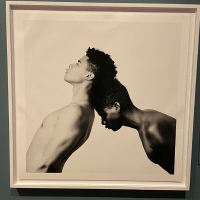 Toumani Camara @Schomburg Center