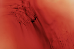 Auction Results: Post-War and Contemporary Art Day Sale, March 6, 2025 @Christie’s London
