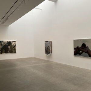 Tyler Mitchell, Ghost Images @Gagosian