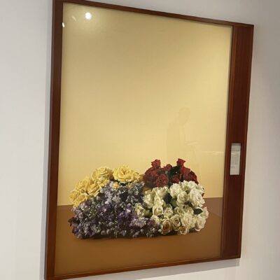 Taryn Simon @FLAG Art Foundation
