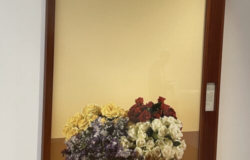 Taryn Simon @FLAG Art Foundation